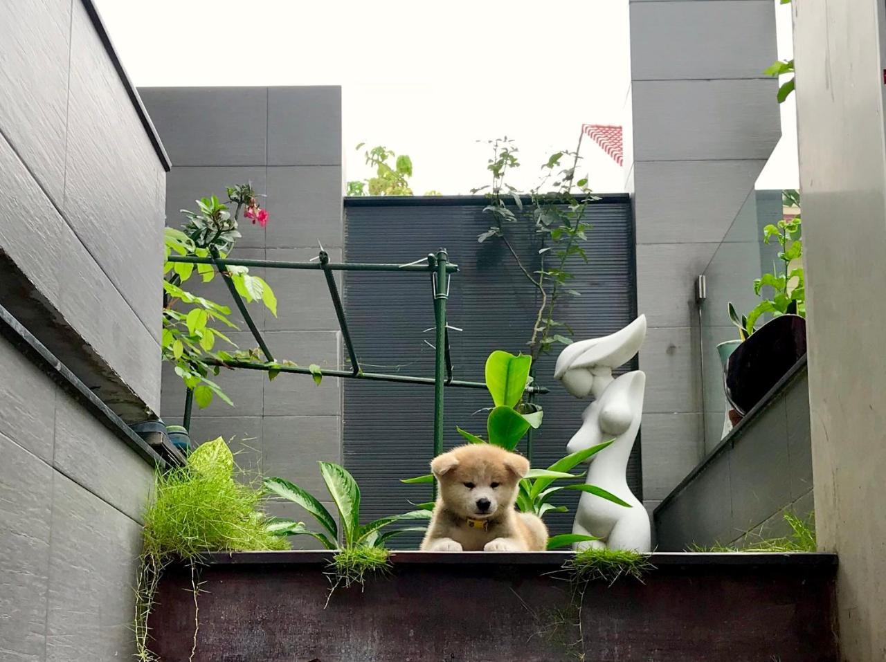 Greenwood Villa Saigon Πόλη Χο Τσι Μινχ Εξωτερικό φωτογραφία